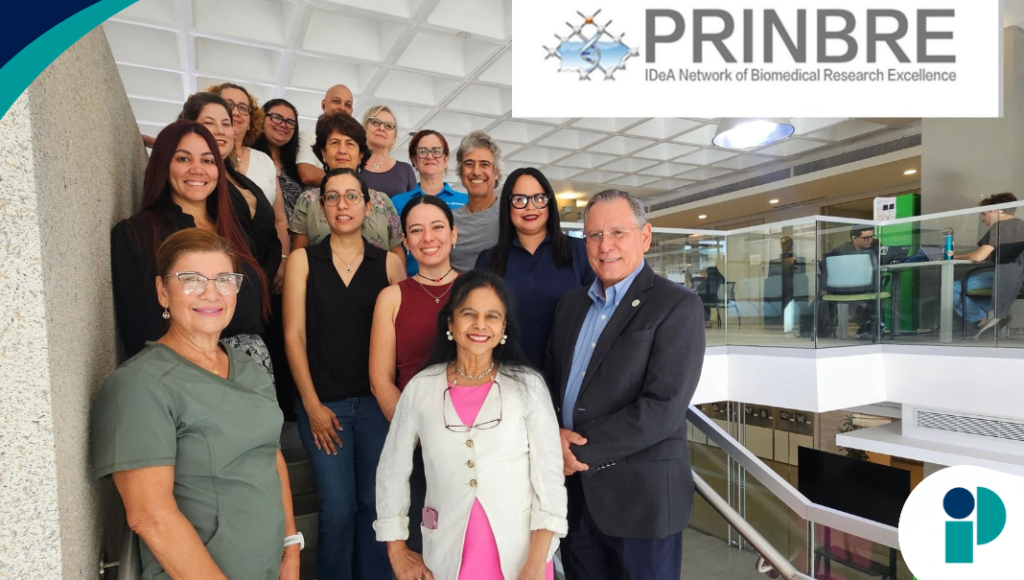 comunicado web