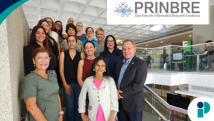 comunicado web